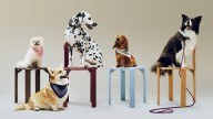 Gift Guide: Luxury gifts for pets 2025