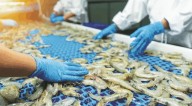 Odisha Explores Alternative Markets As US Tariff Hits Exports