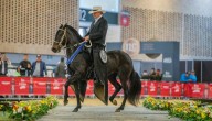 Programación de la XVII Mundial de Caballos de Paso, que será del 27 de octubre al 2 de noviembre