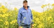 Disc seeder success for Berrigan's Swann family in dry season