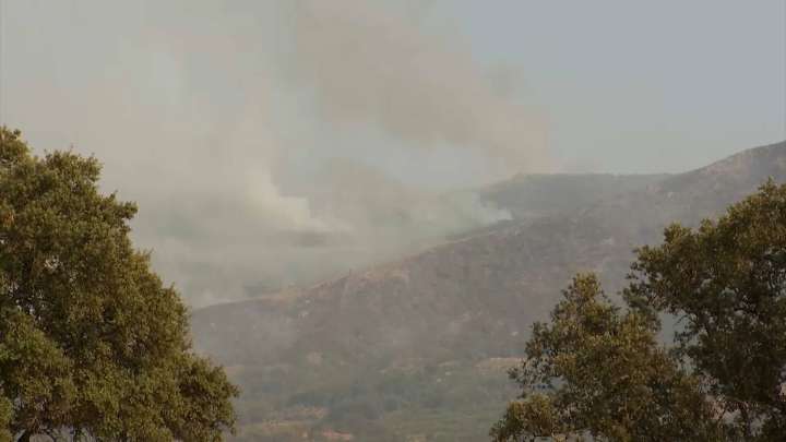 El Gobierno abre a consulta pública el real decreto de ayudas para agricultores afectados por incendios More