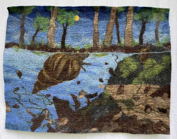 Watermark to host reception for 'Refugia: the Seasonal Pond Project' exhibit