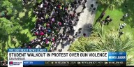 Students at Savannah Arts Academy hold walkout against gun violence in schools