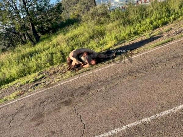 Eran cinco cuerpos abandonados en La Concha: Fiscal zona occidente