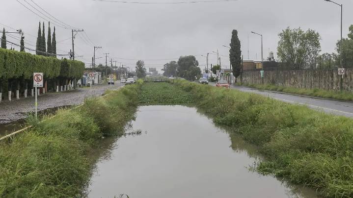 Lirio acuático impacta actividad agrícola de San Juan del Río