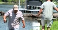 Bayou Society Grows as Cousins Rally Community to Protect Bayou