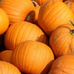Harvest Nights fall festival to come to Phoenix this month