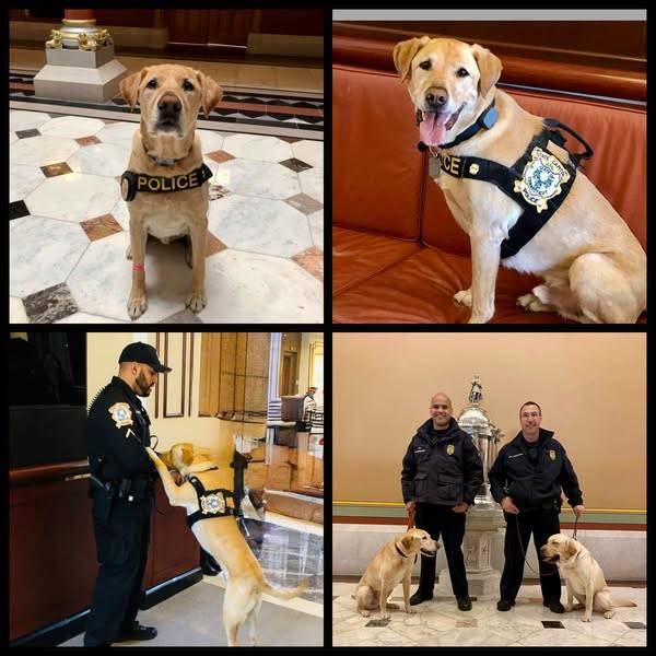 Capitol police announce passing of K