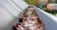 Home insurance experts warn of autumn mistakes that could invalidate your policy