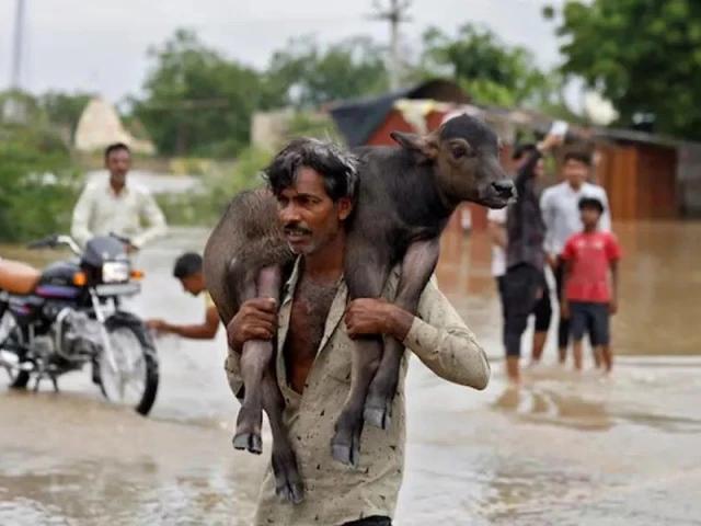 October rains threaten harvest of rice, cotton among other crops in India