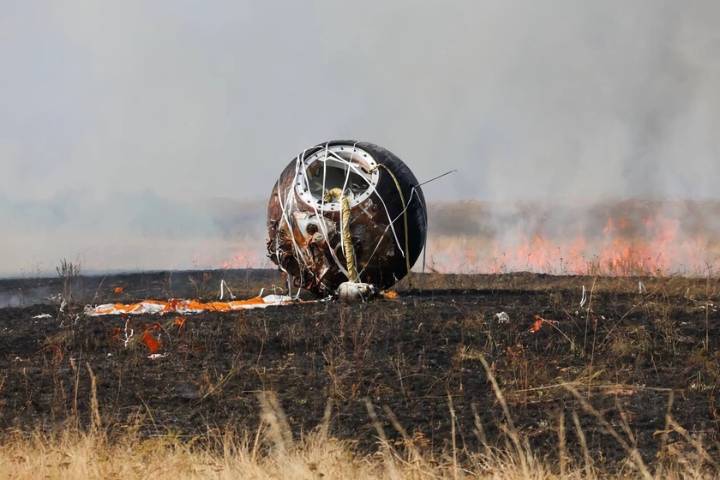 Rusia mandó 75 ratones al espacio en una cápsula de diseño soviético. Han vuelto todos menos 10