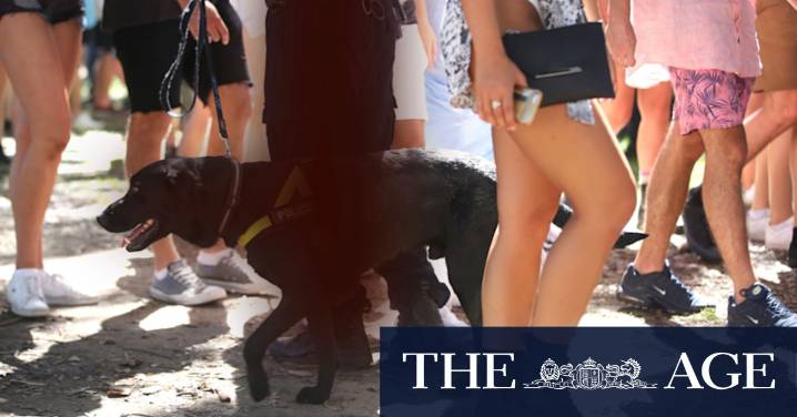 The Herald’s view: Strip-search court win exposes NSW government to massive payout