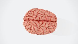 Sport Concussions Put Athletes at Risk for Developing PTSD