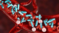 La sepsis cobra 34 vidas por minuto en el mundo: cómo actuar rápido frente a una infección generalizada