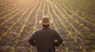 Expertos llaman a anticiparse: mantener los sistemas de riego es clave antes del verano