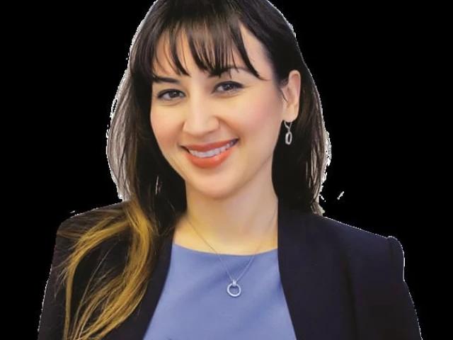 US envoy praises Pak investment climate