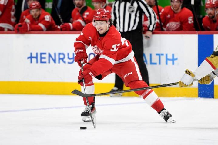 10 questions Red Wings have to tackle in training camp, preseason