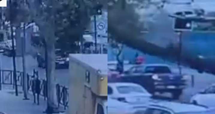 Pudo terminar en tragedia: video registró el momento exacto de caída de árbol en Ñuñoa