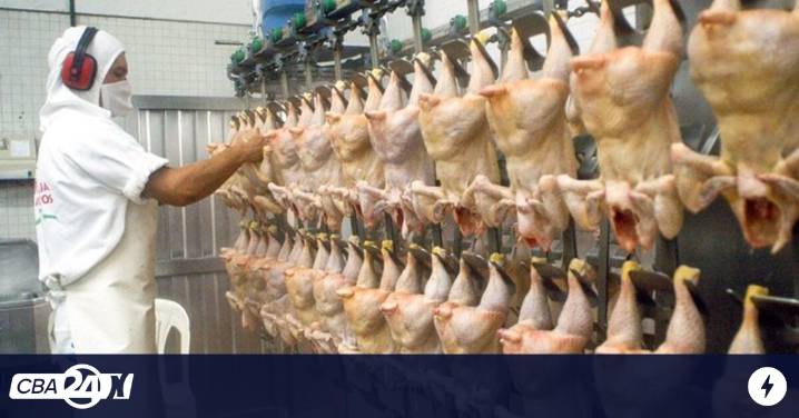 El Gobierno confirmó las retenciones cero para la carne hasta el 31 de octubre