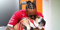 F1 Champion Lewis Hamilton Announces Beloved Dog Roscoe Has Died