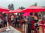Riot at New Sarum: Local nonprofit’s annual fundraiser sets up bright year