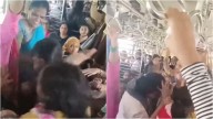 'Hair Pulled, Slaps Fly': Women Caught Fighting On Mumbai Local Ladies Special, Video Goes Viral