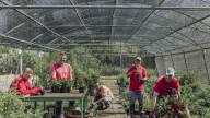 Centro Especial de Empleo ARCADIA: 30 años celebrando la salud mental