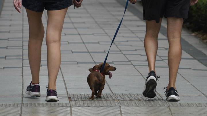 El tiempo en Rosario: lunes con nubes y la máxima en leve aumento