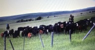 Idaho preparing to sell 160 acres of state-owned endowment land near Tetons