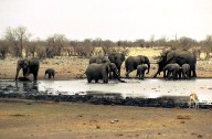 Namibia sends hundreds of soldiers to help battle huge wildfire in Etosha National Park