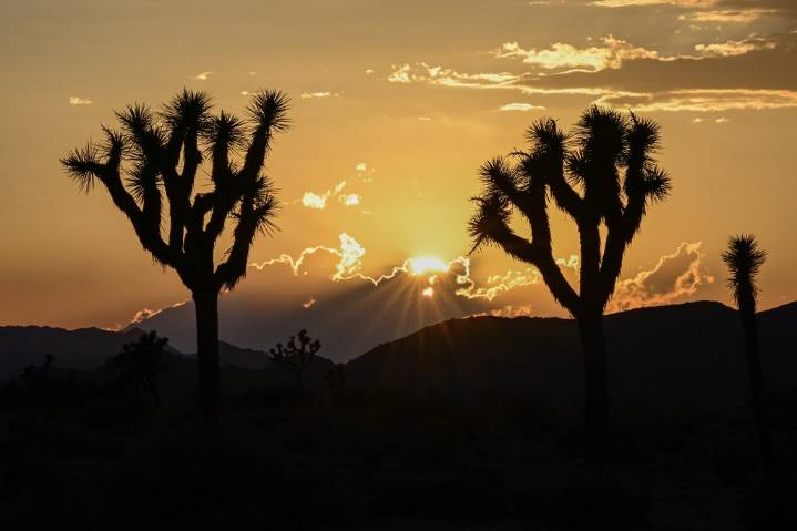 What a government shutdown will mean for Californians, from Social Security to national parks