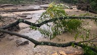North Carolina governor declares state of emergency…