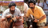 Tamil film based on famous Madurai goat fights titled 'Jockey'