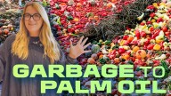 These future foods could help the planet, if we can stop being weird about them