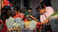 Proporción de mujeres en la informalidad alcanza el 71% en Xochimilco: IMCO
