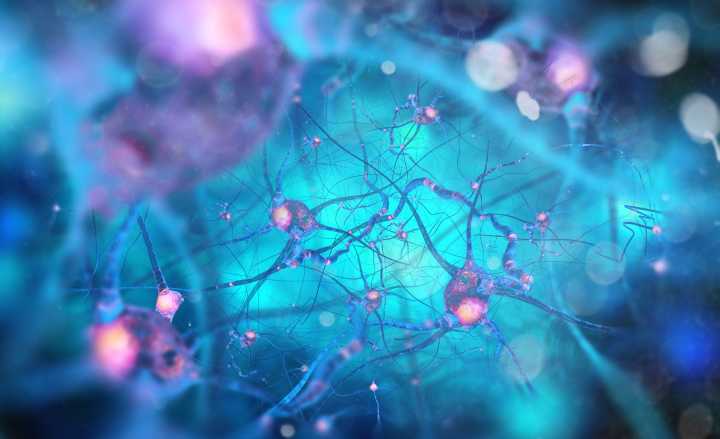 AbbVie Submits NDA for Parkinson’s Disease Drug, Tavapadon