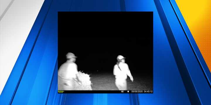 Oregon State Police searching for two people accused of poaching elk in Wasco County
