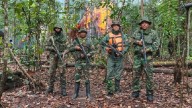 Nicolás Maduro: Más del 90 % de las bandas criminales en Venezuela han sido exterminadas