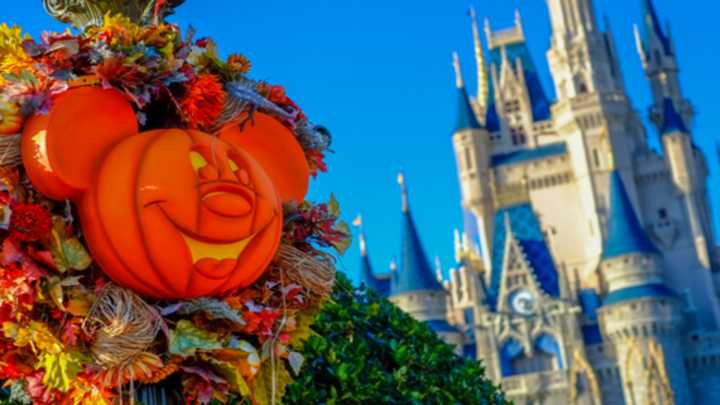 Disney Visitors Queue For Hours To Get Rare Full Refund After Halloween Event Flop