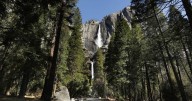 Reeling from Trump cuts, staffers unionize at Yosemite, Sequoia national parks