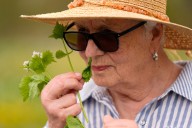 Foraging revival: How wild food enthusiasts are reconnecting with nature