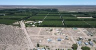 El RIGI de Rolando Figueroa en Neuquén se demora, pero ratifican que la reglamentación “está en marcha”
