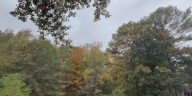 Alabama Forestry Commission issues statewide Fire Danger Advisory