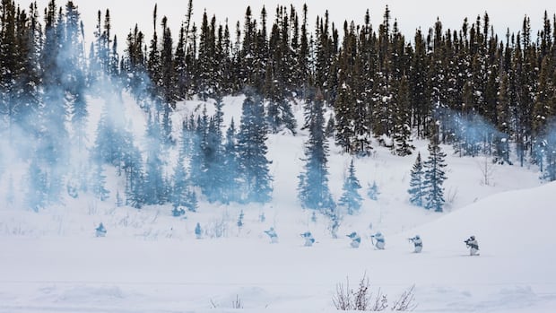 Canada's military plans to be in the Arctic 'on a near permanent basis,' says commander