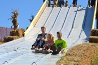 2025 fall festivals in Northeast Ohio
