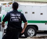 La ley estatal amplía las protecciones para los oficiales de protección animal