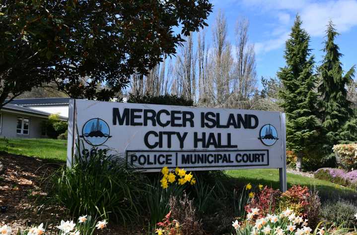 City council adopts ordinance to establish e