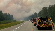How many wildfires are started by arson? Your questions, answered