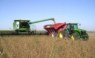 Desesperado por los dólares, el Gobierno eliminó las retenciones a todos los granos