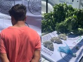 Atrapan a “El Pillo” que quería poner su vivero de mota en Aguascalientes